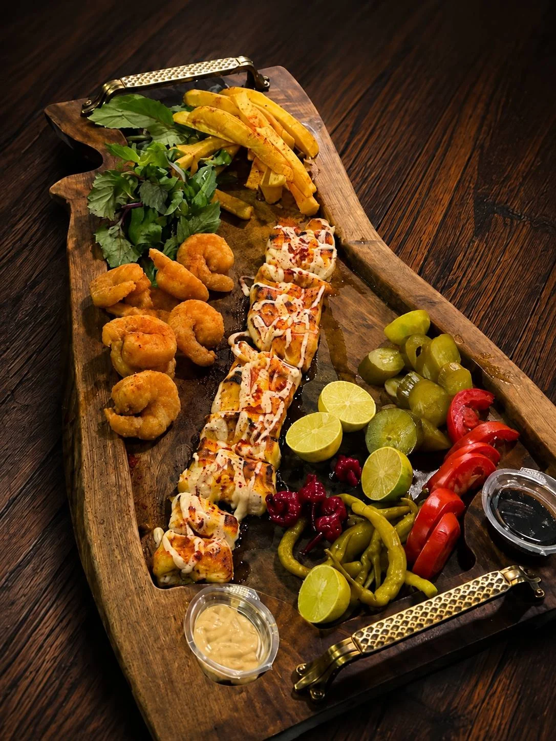 تصویر غذای دلفین